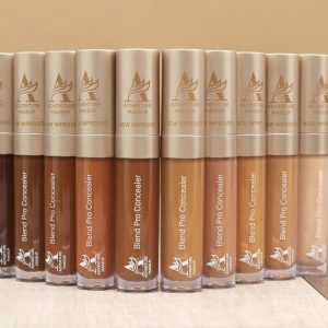 Adventure concealer